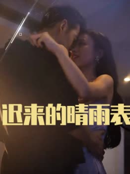迟来的晴雨表封面