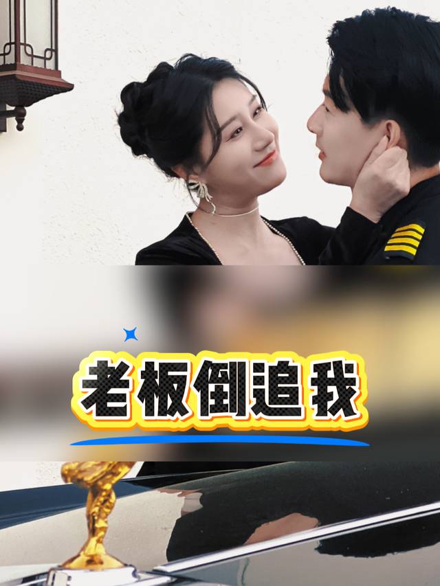 老板倒追我封面