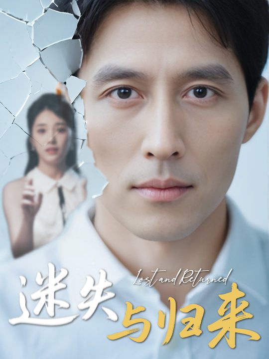 迷失与归来封面