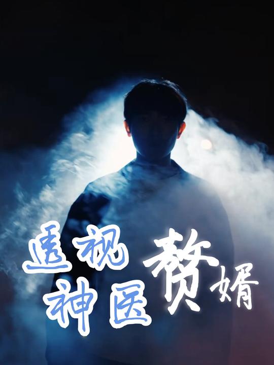 透视神医赘婿封面