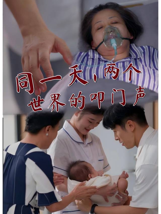 同一天,两个世界的叩门声封面