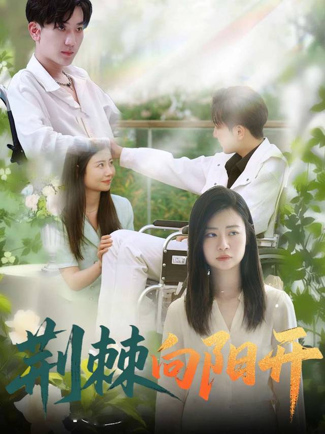 荆棘向阳开封面