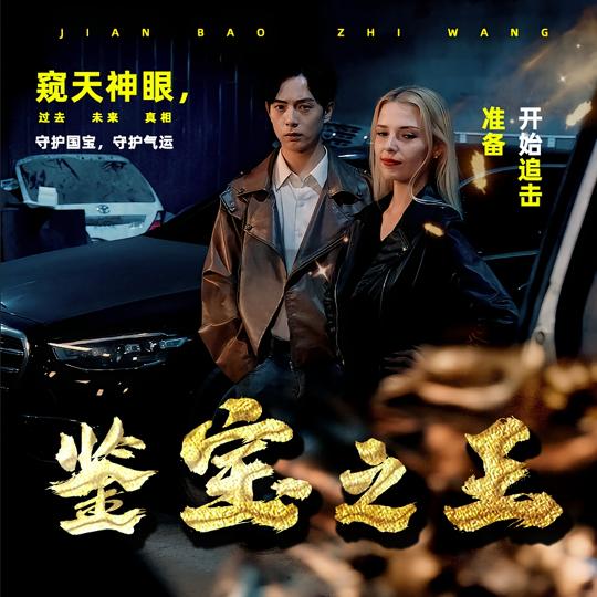 鉴宝之王封面