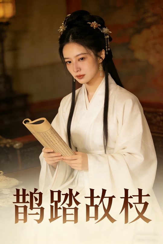鹊踏故枝封面