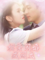 相亲闪婚成阔太封面