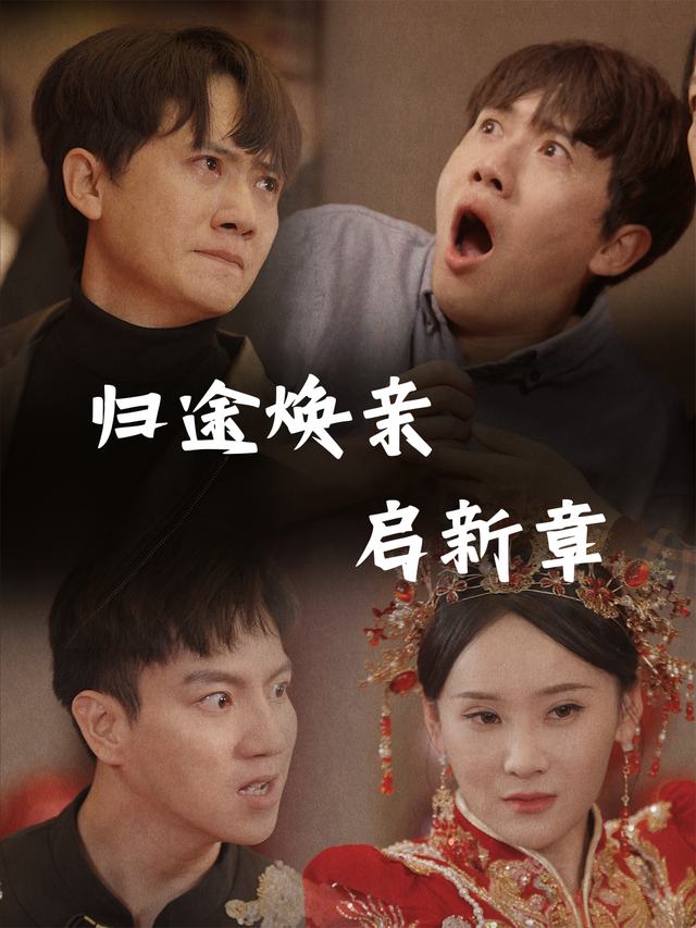 归途焕亲启新章封面