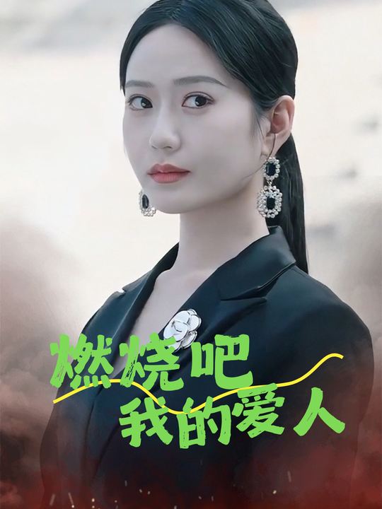 燃烧吧我的爱人封面