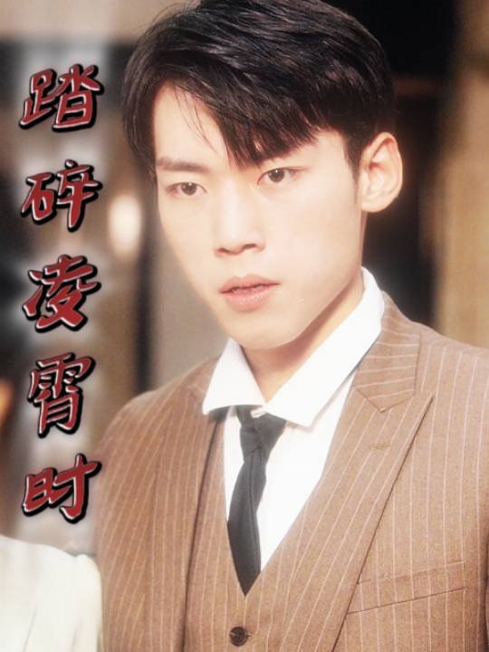 踏碎凌霄时封面