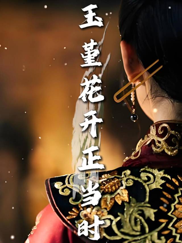 玉堇花开正当时封面