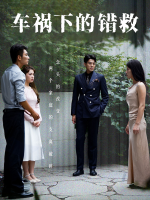 车祸下的错救封面