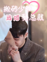 搬砖少爷逃婚娶总裁封面