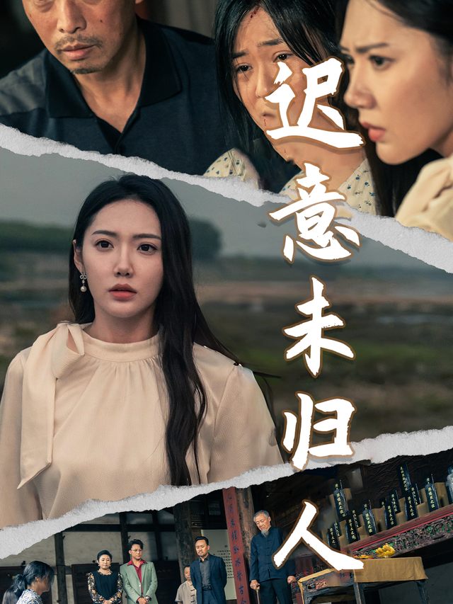 迟意未归人封面