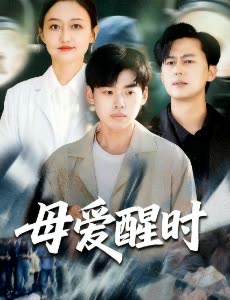母爱醒时封面
