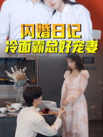 闪婚日记:冷面霸总好宠妻封面