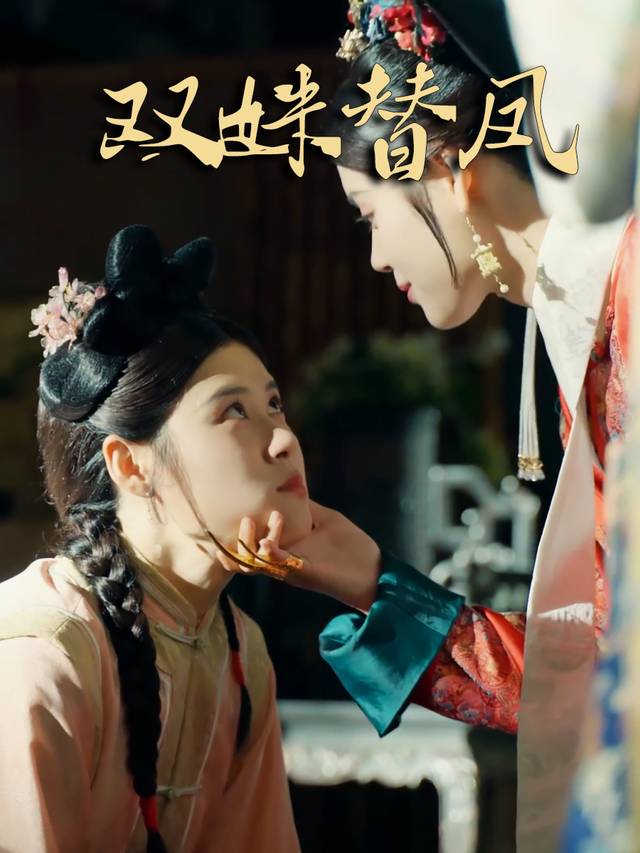 双姝替凤封面