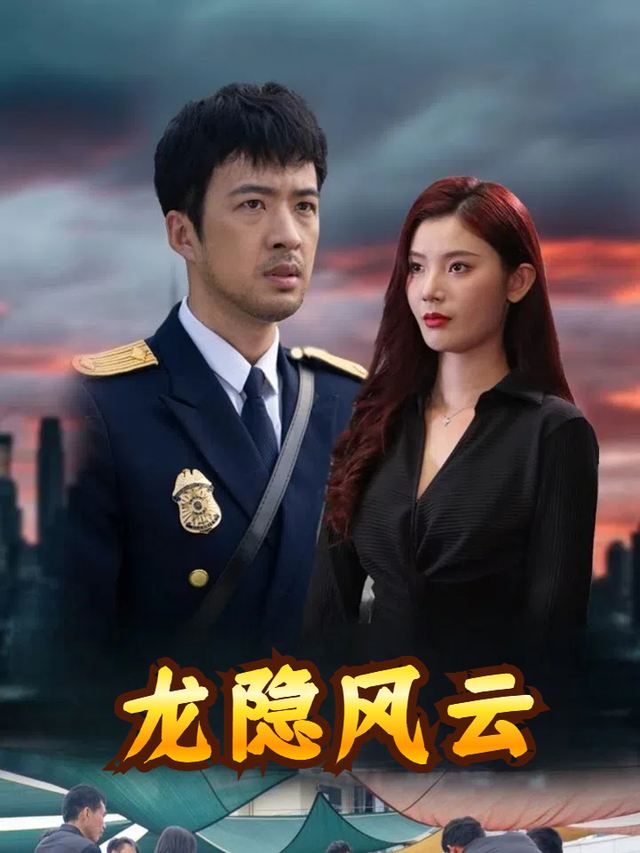 龙隐风云封面
