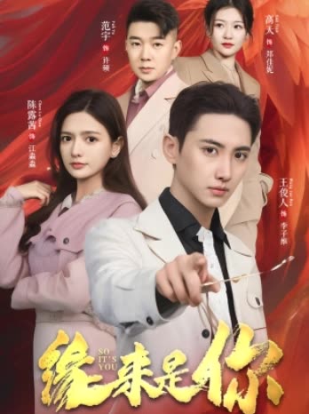 命中缘来是你封面