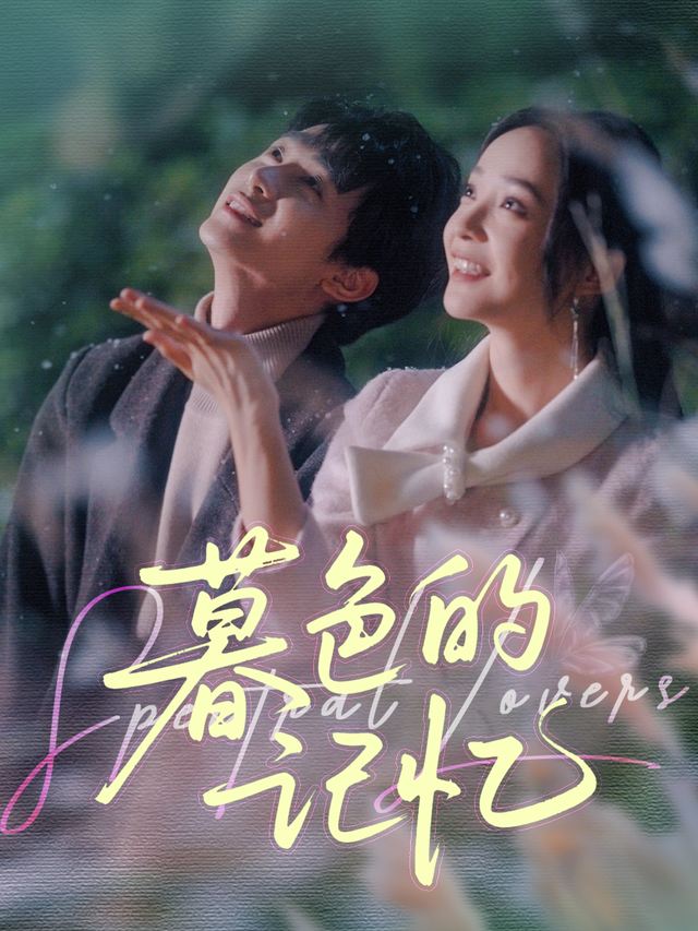 暮色的记忆封面