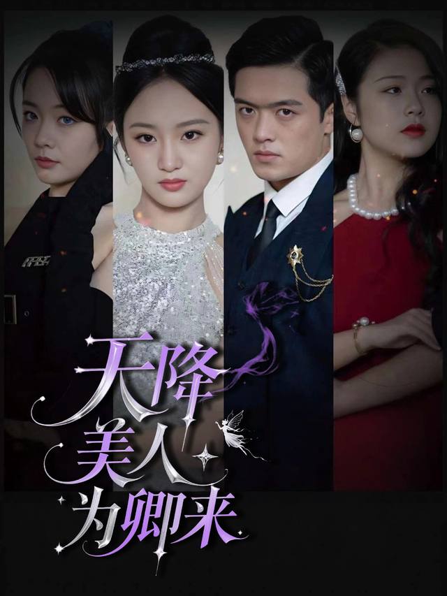 天降美人为卿来封面