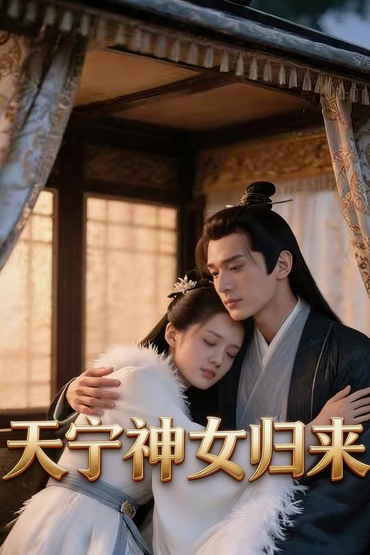 天宁神女归来封面