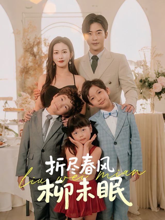 折尽春风柳未眠封面