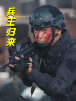 兵王归来封面