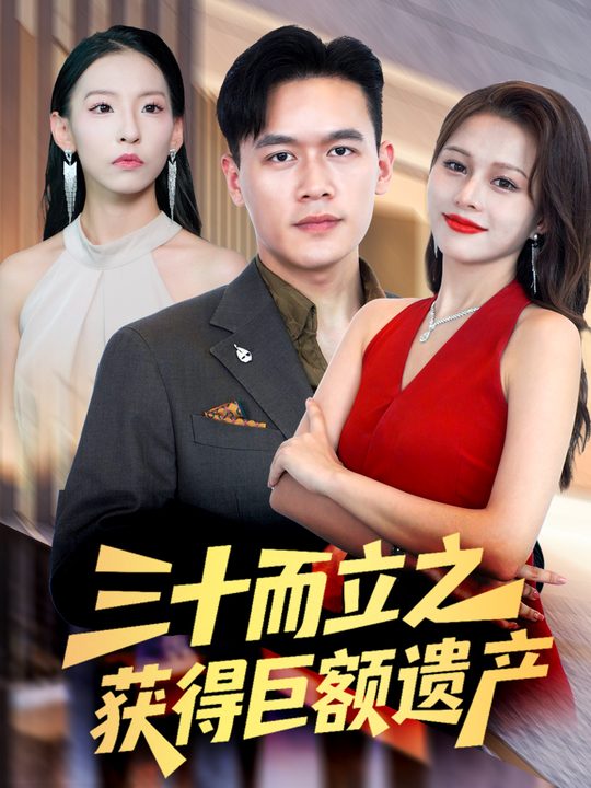 三十而立之获得巨额遗产封面