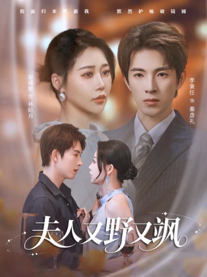 夫人又野又飒封面