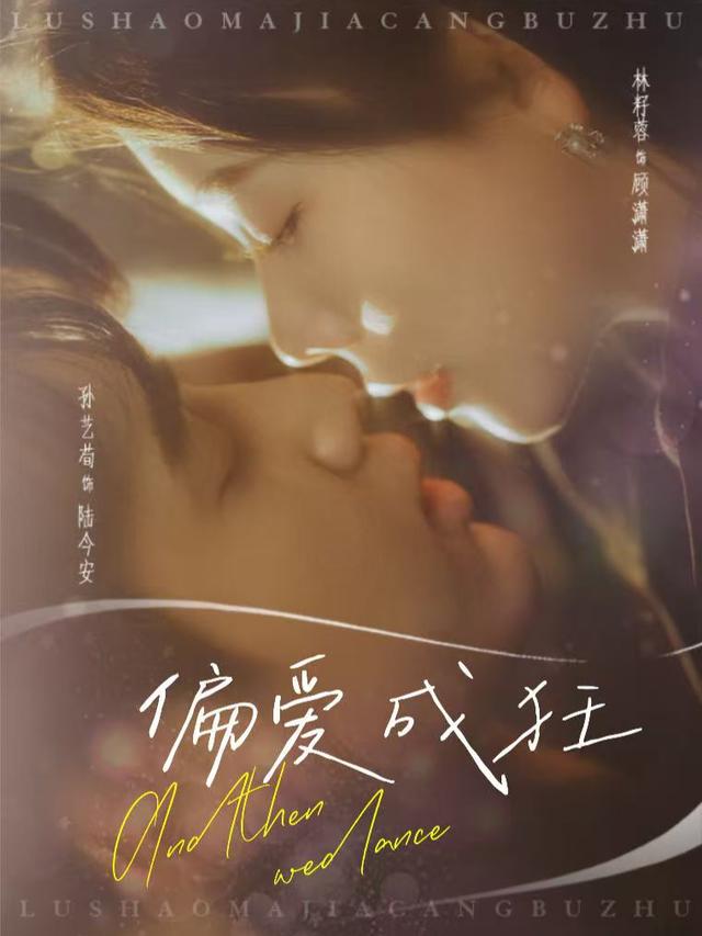 偏爱成狂封面