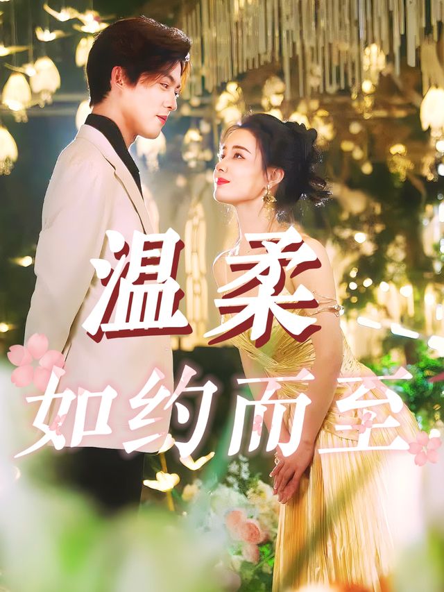 温柔如约而至封面