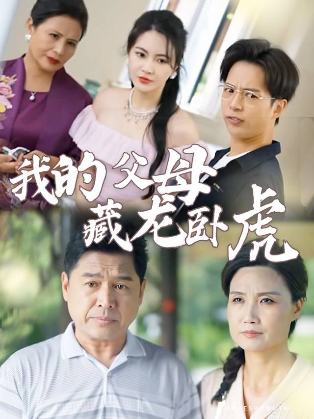 我的父母藏龙卧虎封面