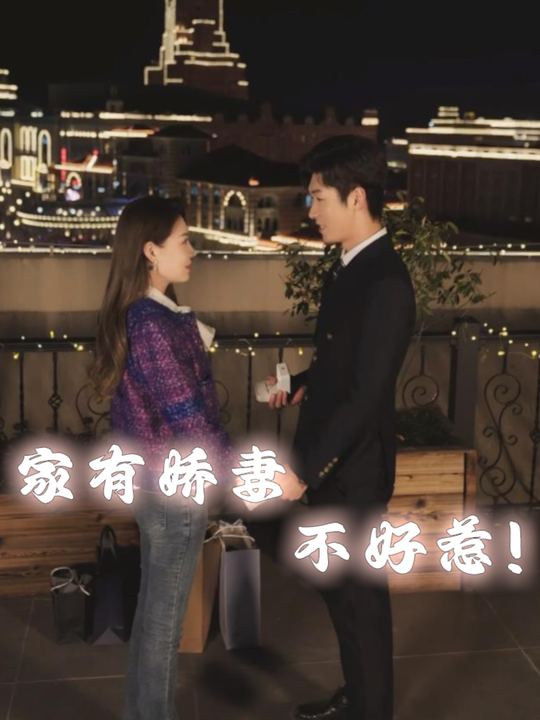 家有娇妻不好惹封面