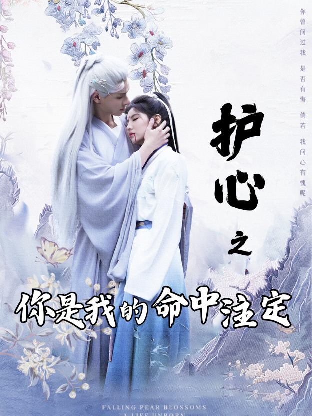 护心之你是我的命中注定封面