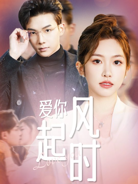 起风时爱你封面