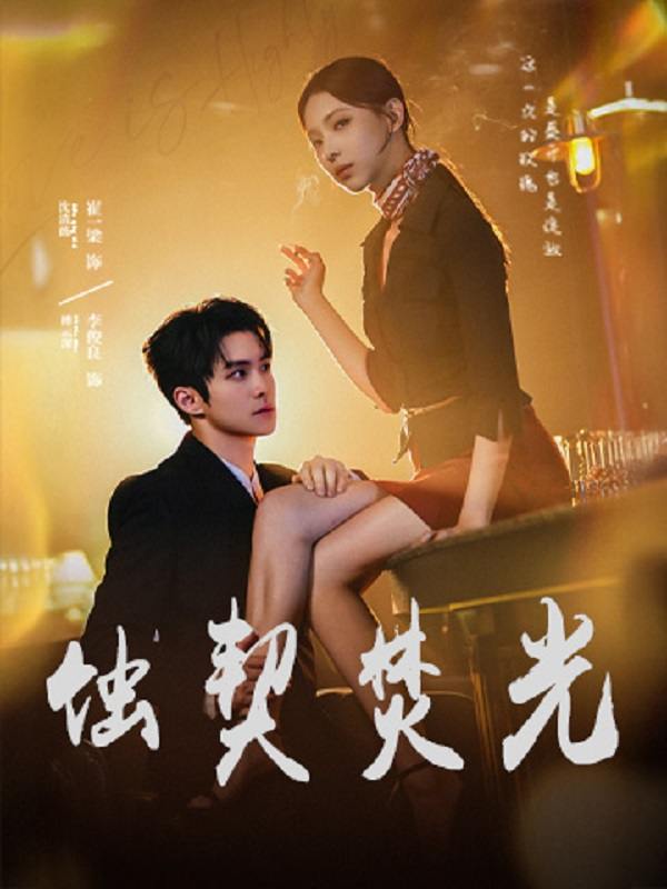 蚀契焚光封面