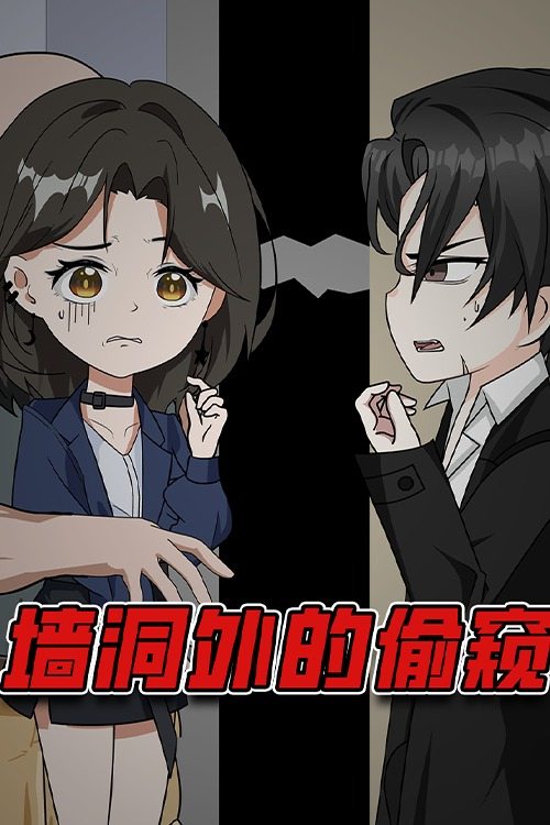 墙洞外的偷窥封面