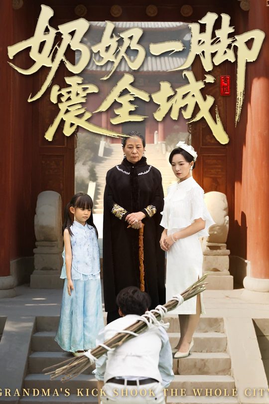 奶奶一脚震全城封面