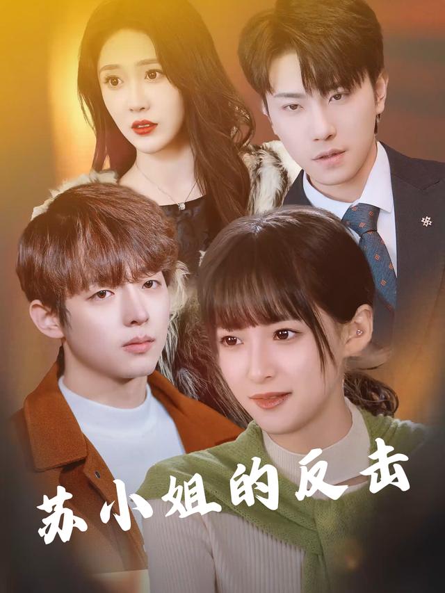 苏小姐的反击封面