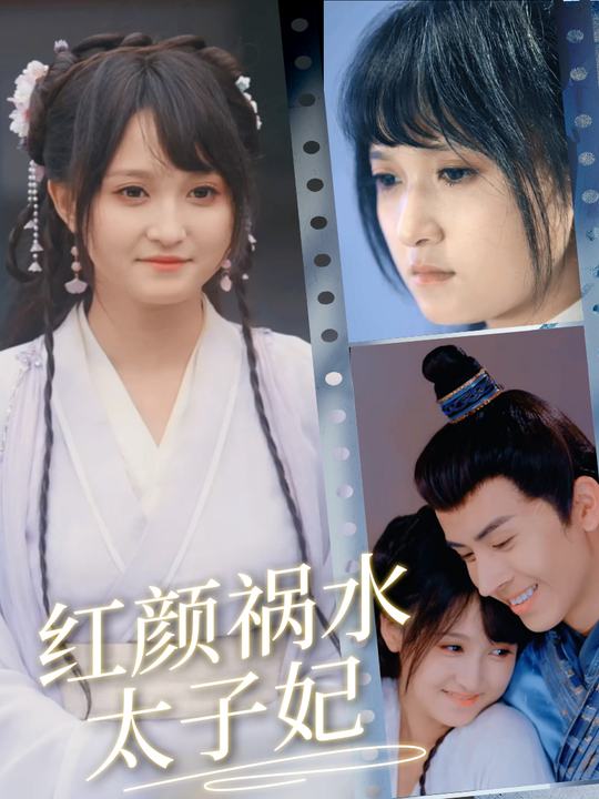 红颜祸水太子妃封面
