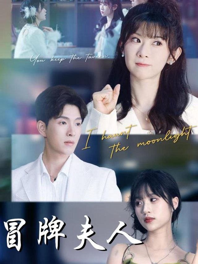 冒牌夫人封面