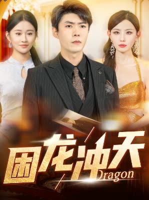 困龙冲天封面