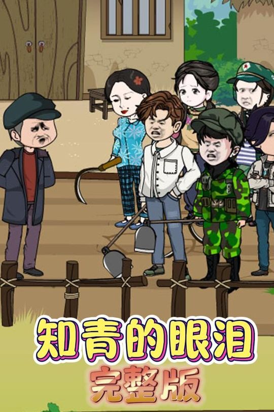 知青的眼泪封面