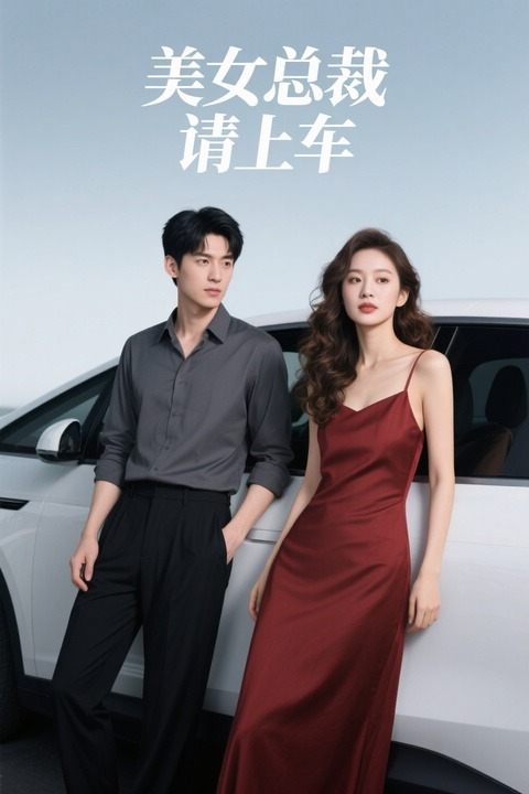 美女总裁，请上车封面