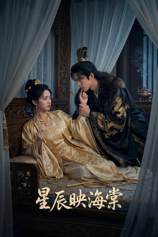 星辰映海棠封面