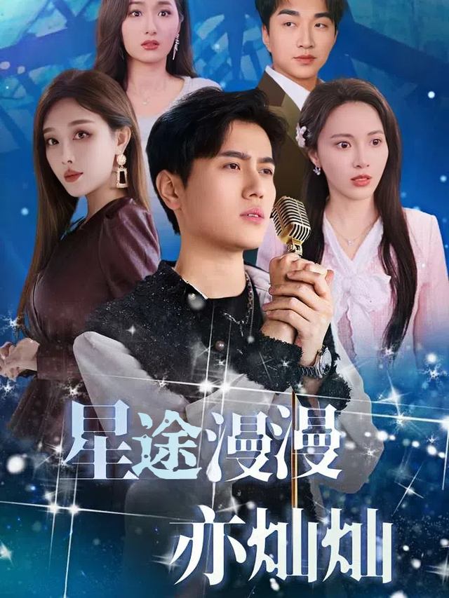 星途漫漫亦灿灿封面