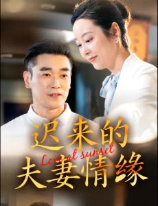 迟来的夫妻情缘封面