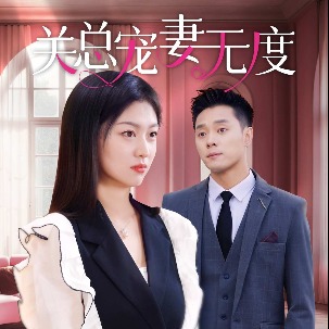 关总宠妻无度封面