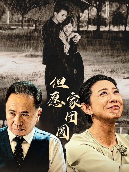 但愿家团圆封面