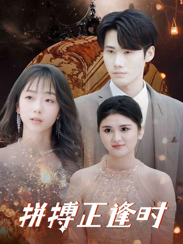拼搏正逢时封面