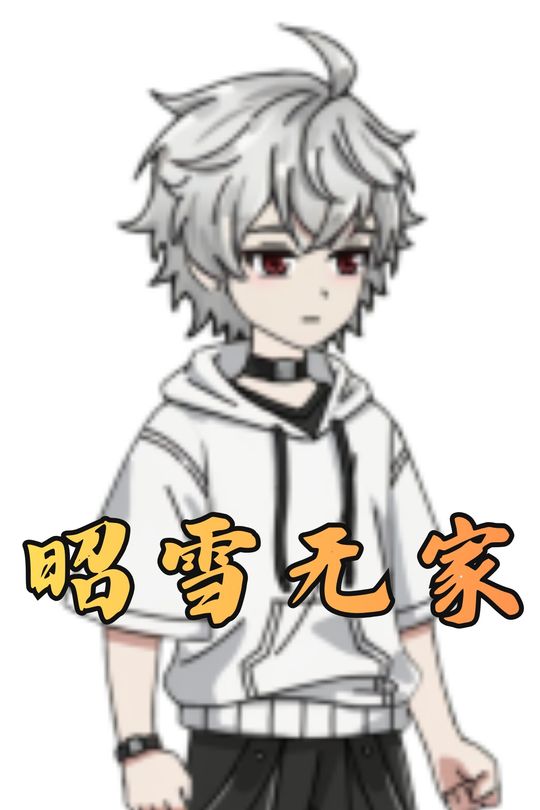 昭雪无家封面